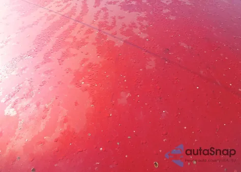 2009 Toyota Tacoma из США, поврежденный, VIN 5TEUX42N39Z614843